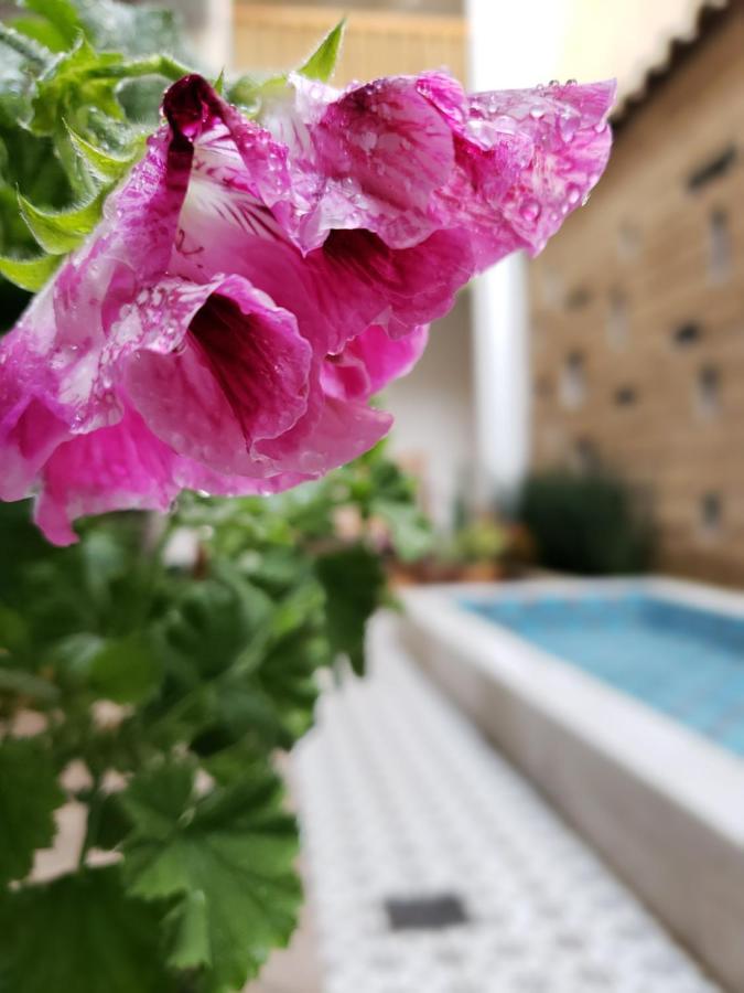 Casa Carmen Otel San Cristóbal de Las Casas Dış mekan fotoğraf